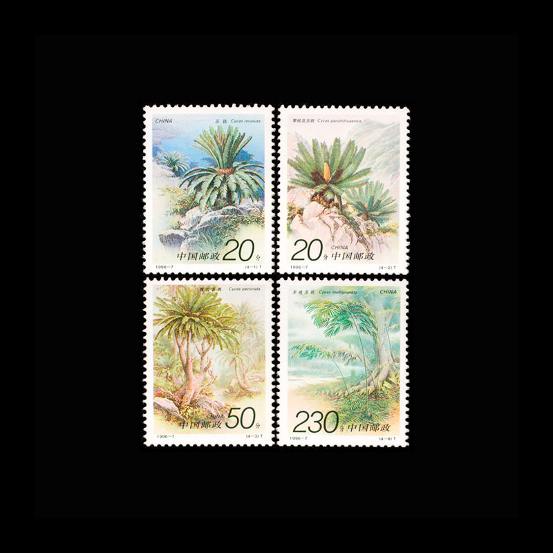 Vintage Collectible Stamps - مجموعة طوابع بريدية صينية عتيقة لعام